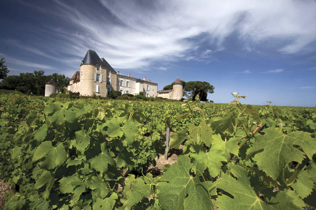 Château d’Yquem et une partie de son vignoble