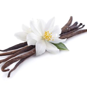 Photo - Matière première du parfum : vanille