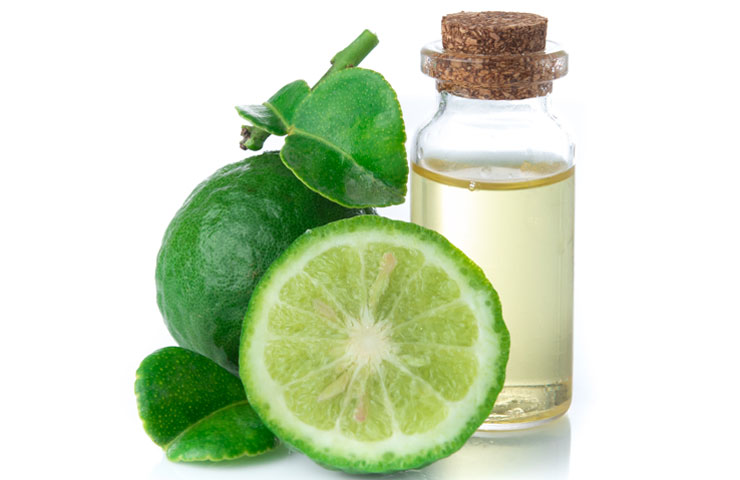 Photo - Matière première du parfum : bergamote