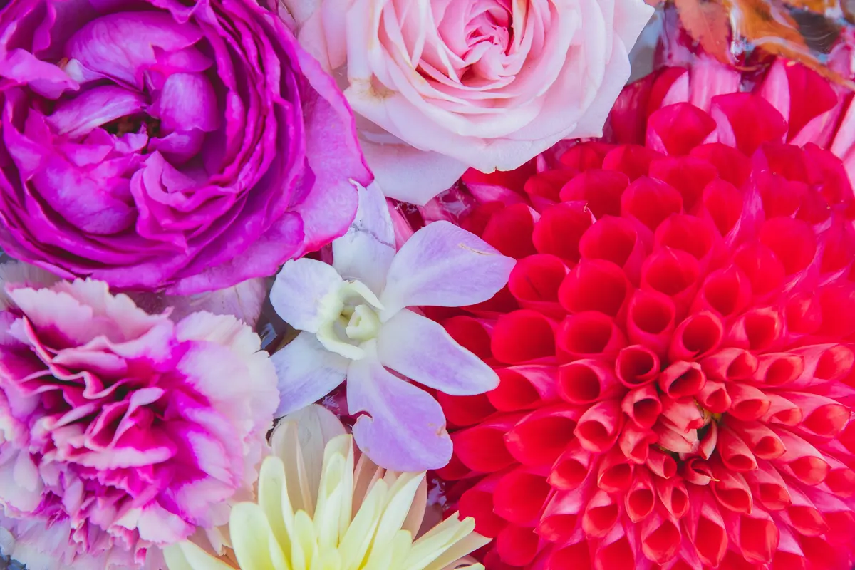 matiere-ingredient-vegetale-fleurs